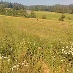 Apartment Jorsi With Mountain View *