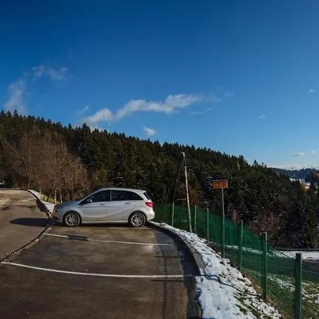 Jorsi With Mountain View