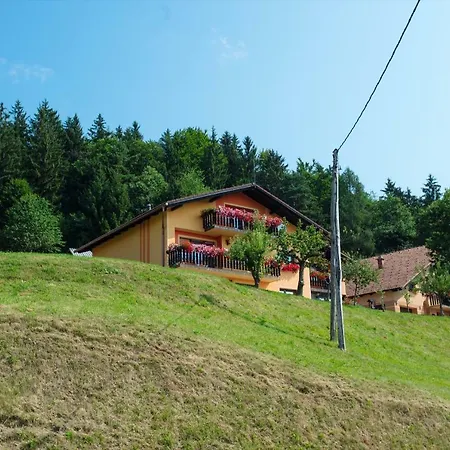 Apartament Jorsi With Mountain View Zreče