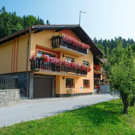 Jorsi With Mountain View *