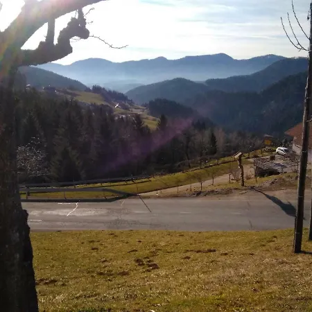Jorsi With Mountain View *