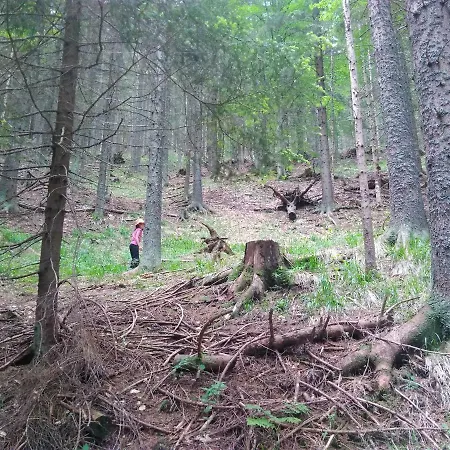 Jorsi With Mountain View Apartment *