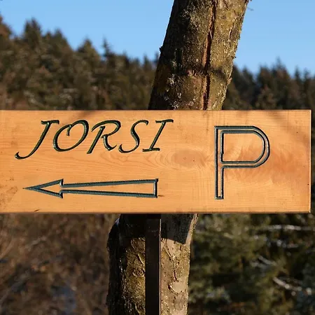 Jorsi With Mountain View