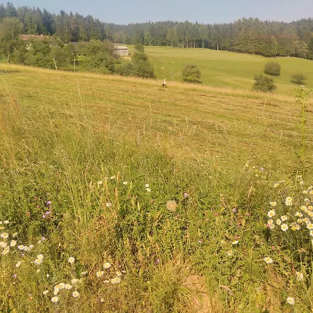 Apartman Jorsi With Mountain View *