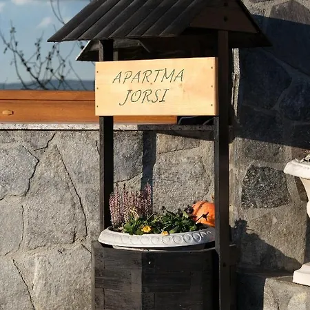 Jorsi With Mountain View