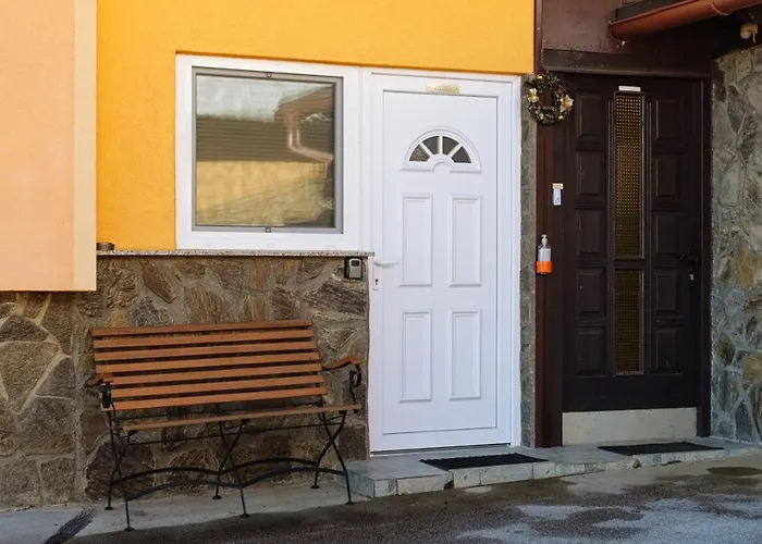 Jorsi With Mountain View *