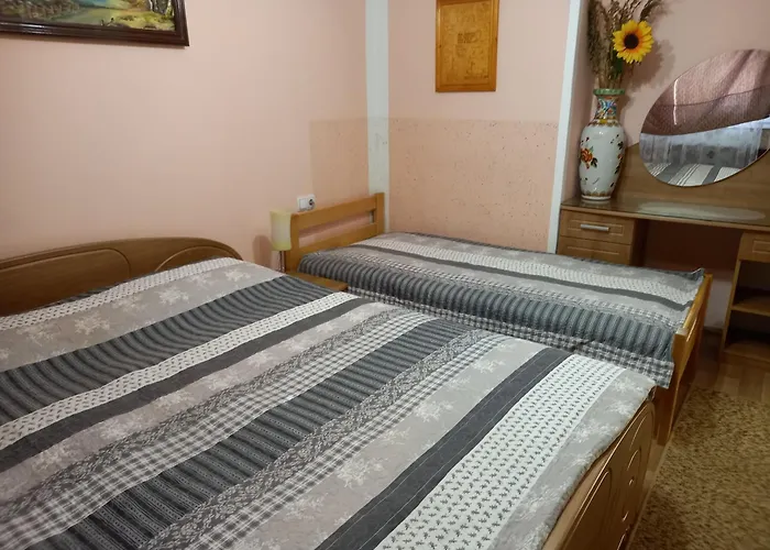 Jorsi With Mountain View *