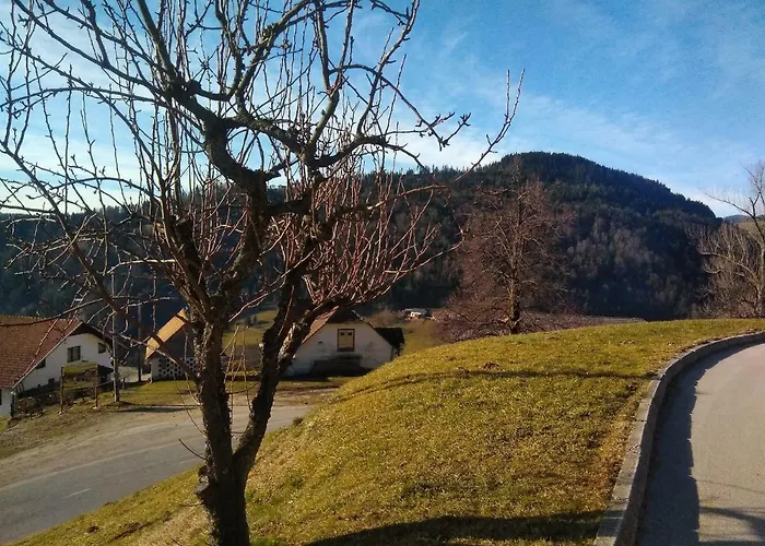 Jorsi With Mountain View Appartement *