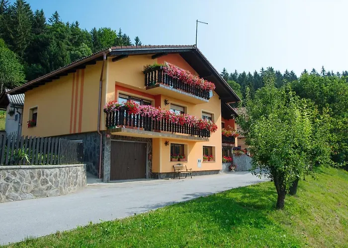 Jorsi With Mountain View *