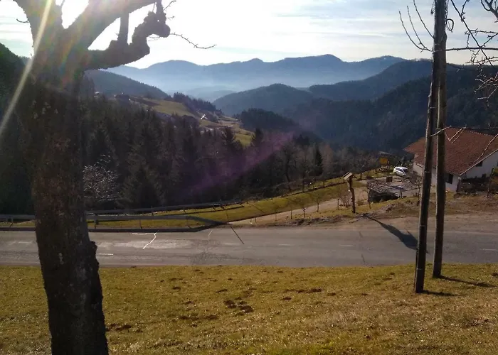 Jorsi With Mountain View *