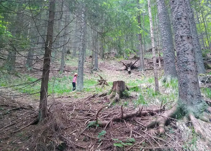 Jorsi With Mountain View Appartement *