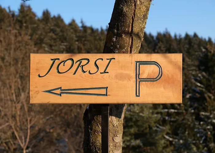 Jorsi With Mountain View