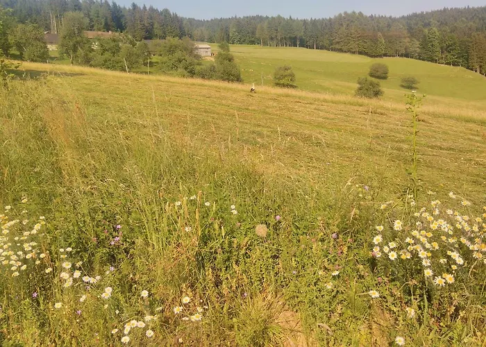 Appartement Jorsi With Mountain View *