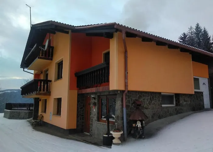 Jorsi With Mountain View *