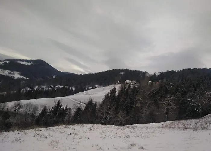 Appartement Jorsi With Mountain View Zreče