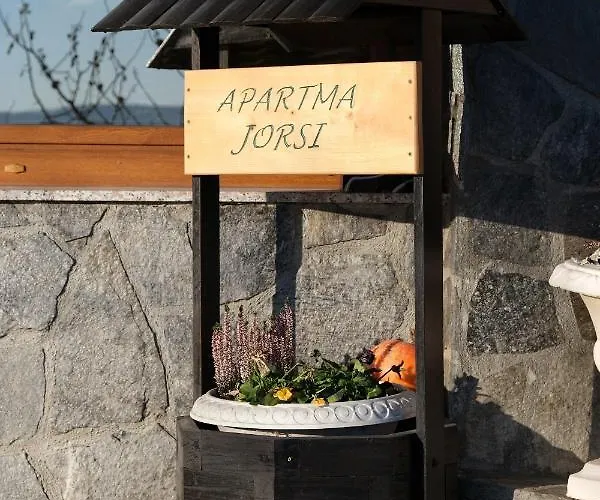 Jorsi With Mountain View